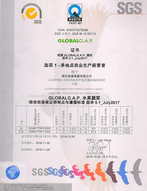 GAP中文-1