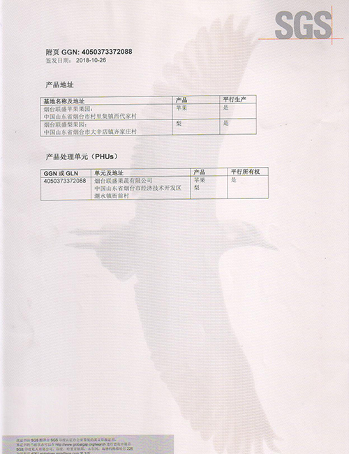 GAP中文-2