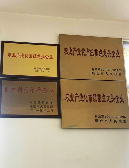 资质荣誉
