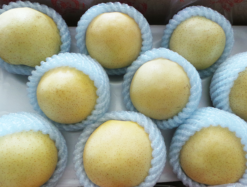 黄金梨